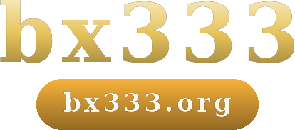 bx333 logo